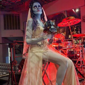 EMILY THE CORPSE BRIDE HALLOWEEN COSTUME DRESS! SIZE M-S